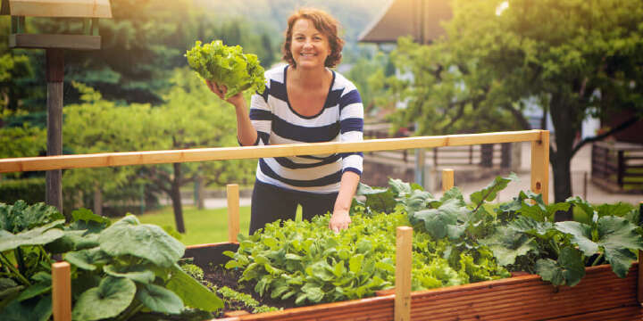 themenwelt hochbeet tipps 1000x500